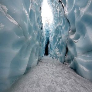 Meet your Posher, Regina